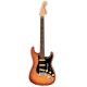 FENDER AMERICAN Performer Stratocaster Limited Edition Timber Honey Burst Rw