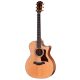 TAYLOR LEGACY 514ce Wet Signed By Bob & Kurt