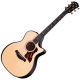 TAYLOR 50TH Anniversary Builders Edition 314ce Ltd Natural